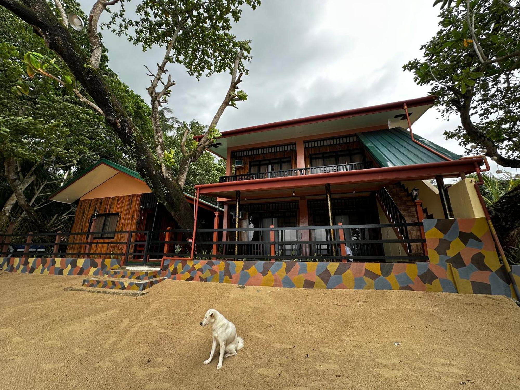 Fabregas Beach Cottages إل نيدو المظهر الخارجي الصورة